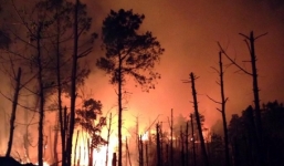 Clip: Rừng Hạ Long bốc cháy đỏ rực trong đêm, 20 ha thông bị thiêu rụi